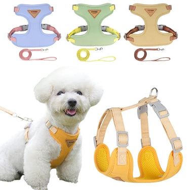 Breathable Dog Harness for Small Breeds